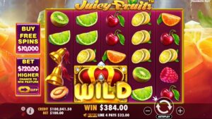 Juicy Fruits náhled automatu