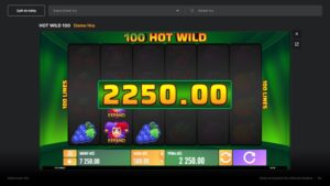 100 Hot Wild náhled automatu