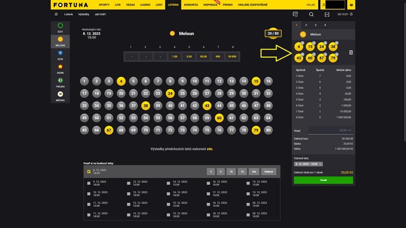 Fortuna Meloun – průvodce online sázkou