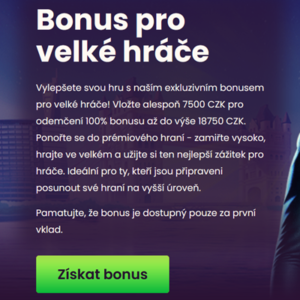 Bizzo Casino bono para grandes jugadores vista previa