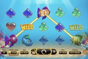 Golden Fish Tank foto3