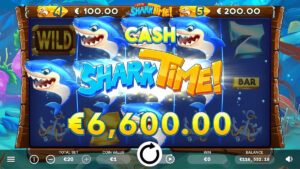 It's Shark Time foto3