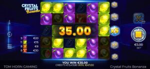 Crystal Fruits Bonanza foto3