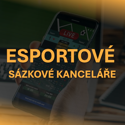 E-Sport-Buchmacher: Wo kann man auf Cybersport wetten?