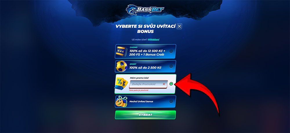BassBet promo code