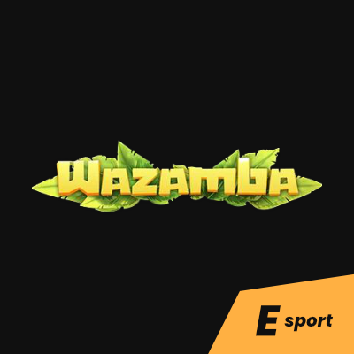 Wazamba esport: Jak a na co všechno lze vsadit?